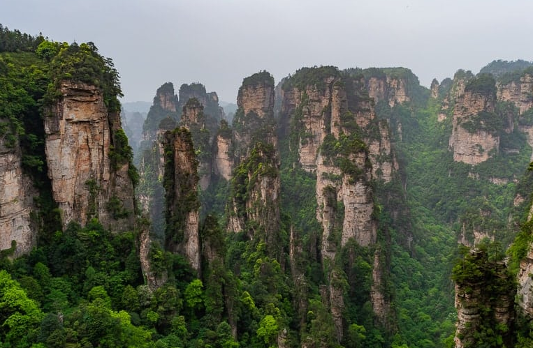 China National Forest