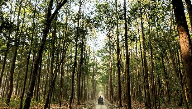 India National Park