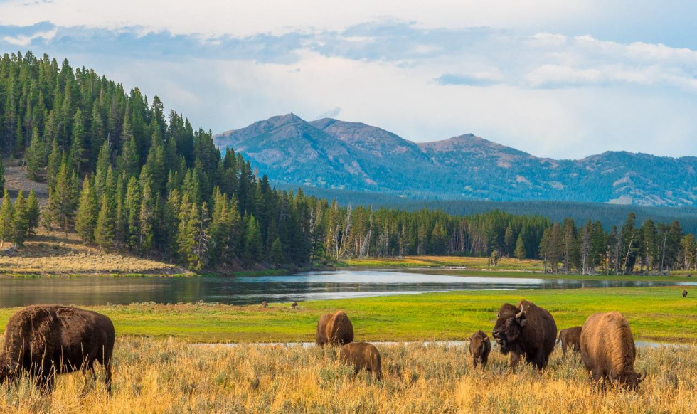 United States of America National Park