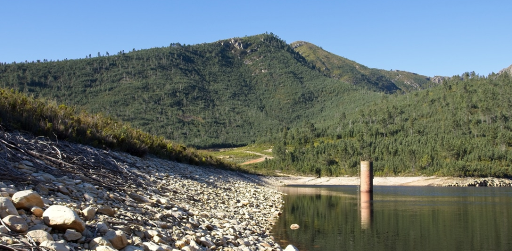 Algeria National Forest