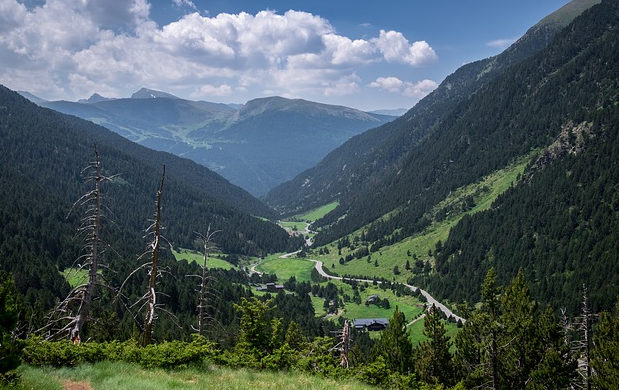 Andorra National Forest