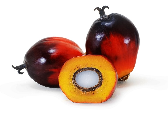 Angola National Fruit