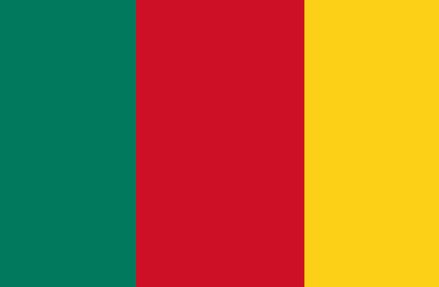 Cameroon National Color