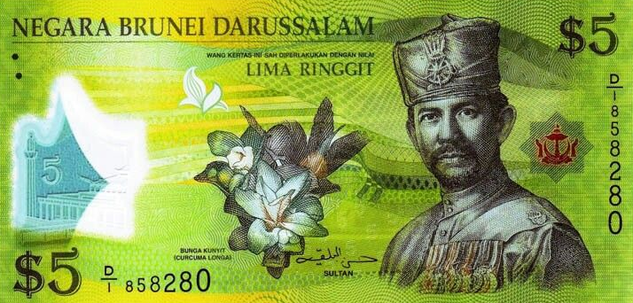 Brunei National Currency