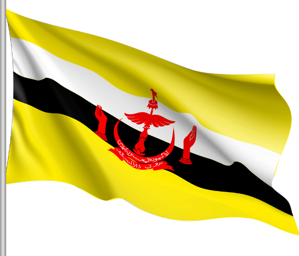 Brunei National Flag