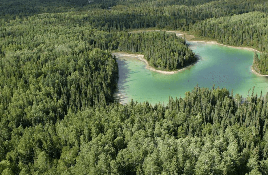 Canada National Forest