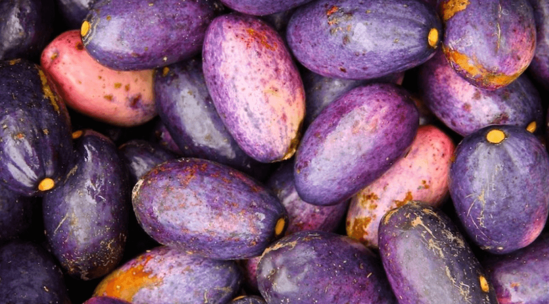 Cameroon National Fruit