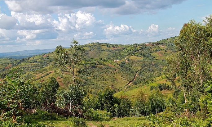 Burundi National Park