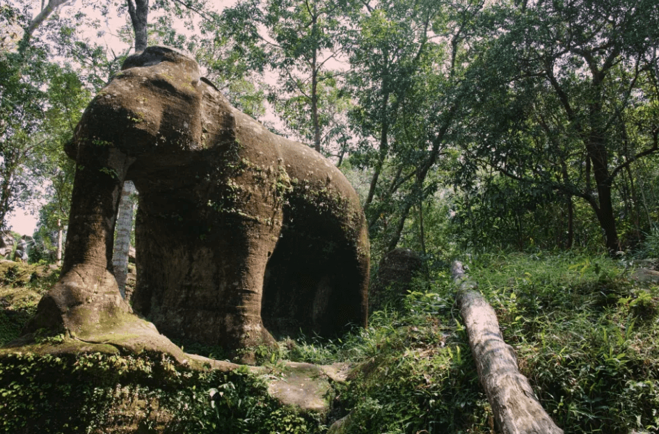 Cambodia National Park