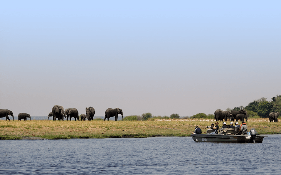 Botswana National Park