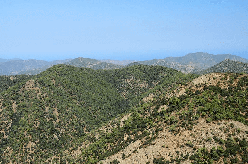 Cyprus National Forest