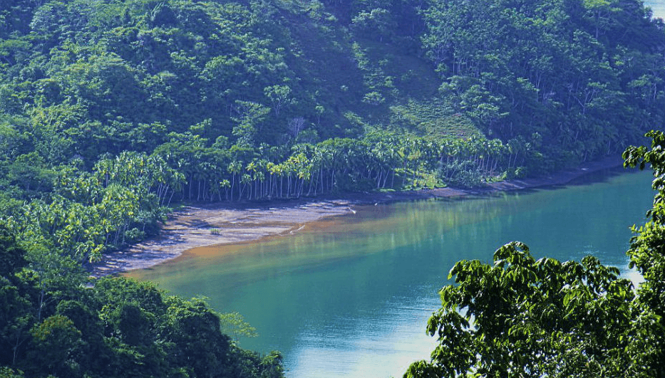 Costa Rica National Forest