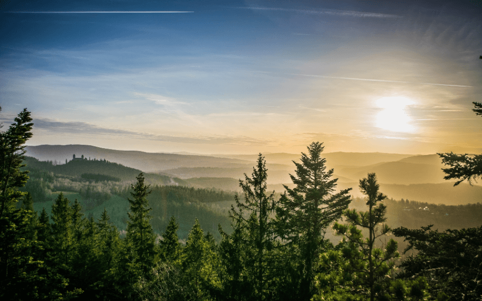Czech Republic National Forest
