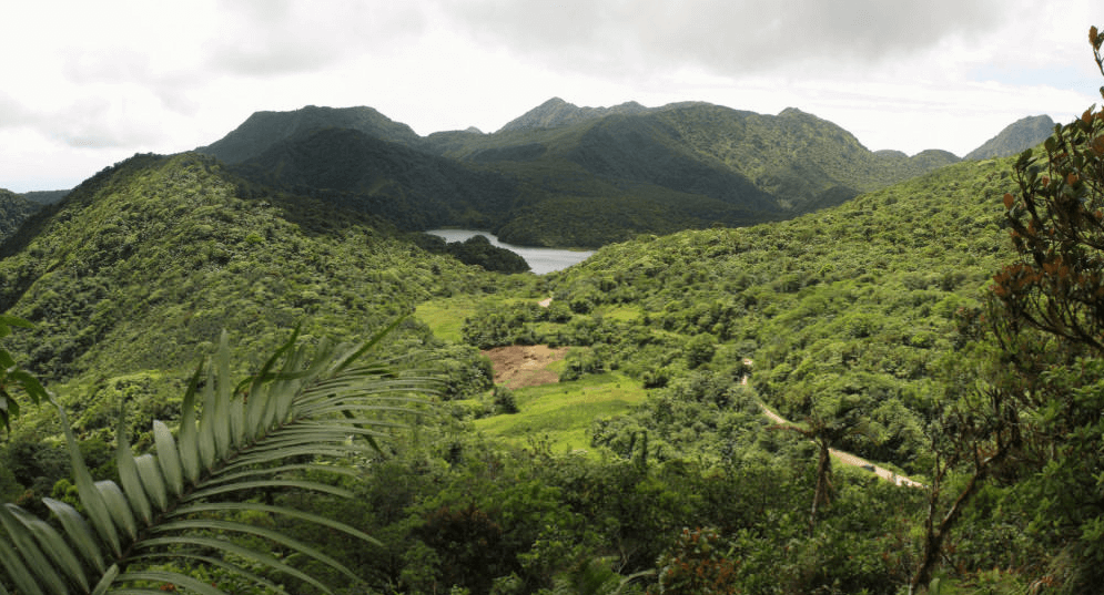 Dominica National Park