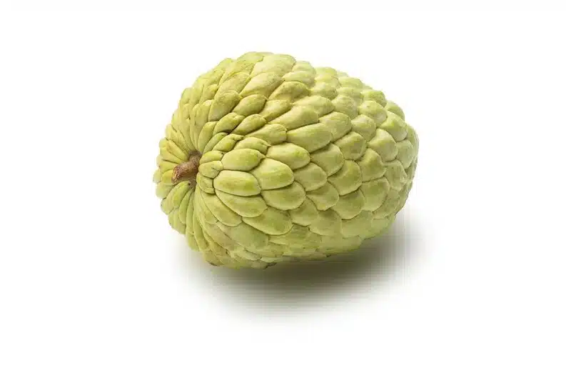 Ecuador National Fruit